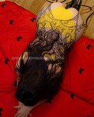 Анкета проститутки Диана - метро Нижегородский, возраст - 28